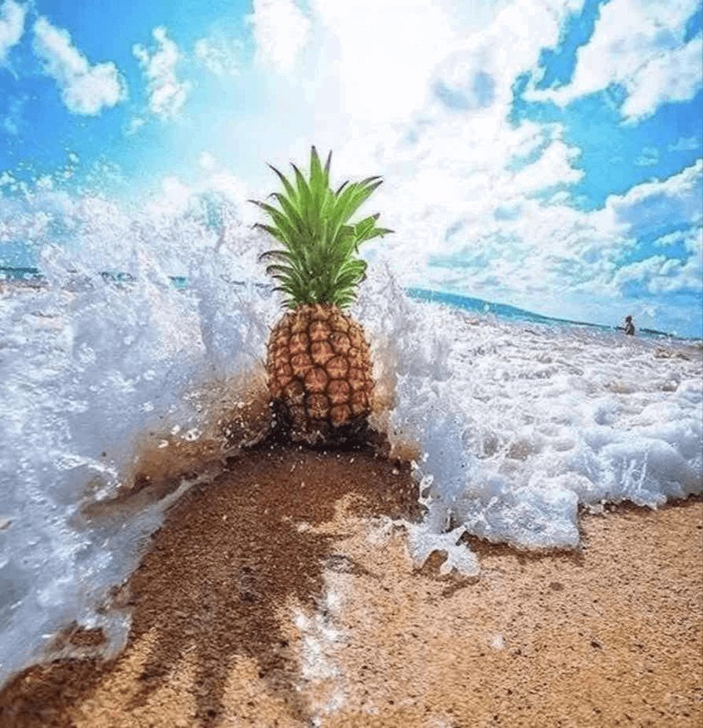 GIF 2